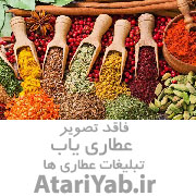 عطاری عطاری شفا مسلم قاسم پور