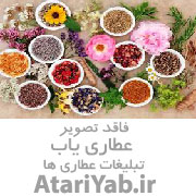 عطاری عطاری و هایپر ارگانیک سادات